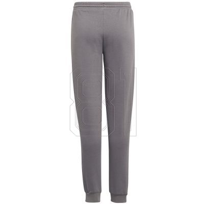 2. Pants adidas Entrada 22 Sweat Panty Y Jr H57519