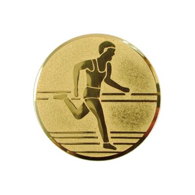 Aluminium-Einleger – Lauf