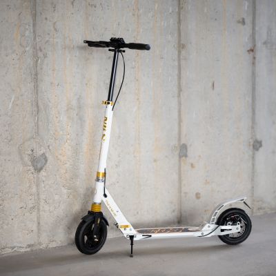 7. HM209T WEISS-GOLD ROLLER MIT SCHEIBENBREMSE NILS EXTREME