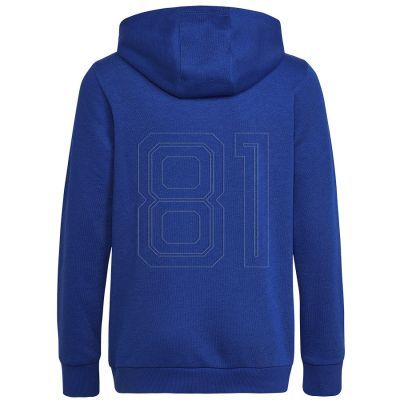 2. adidas Big Logo Essentials Hoody Jr HN1912 Sweatshirt