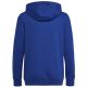 2. adidas Big Logo Essentials Hoody Jr HN1912 Sweatshirt