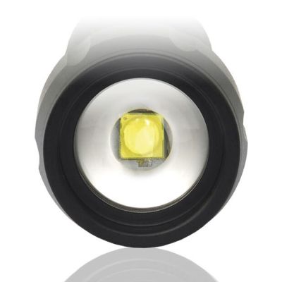 EVERACTIVE LED-Handlampe 350 Lumen FL300+