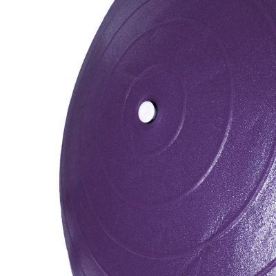 39. PROfit 55cm Gymnastikball mit Pumpe DK2102