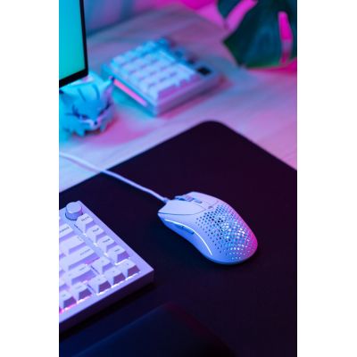 16. Glorious Model O 2 Weiße Maus