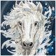 6. Nimmy the Horse MagSafe Hülle für iPhone 17 Pro Max – Marineblau