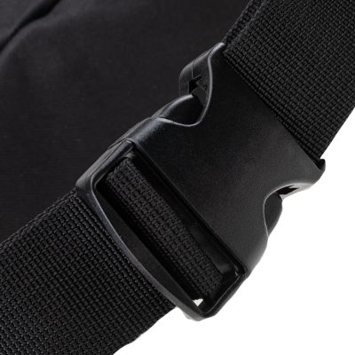 6. Iguana Icebelt 5817 Niere