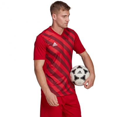 4. adidas Entrada 22 Graphic Jersey M HB0572