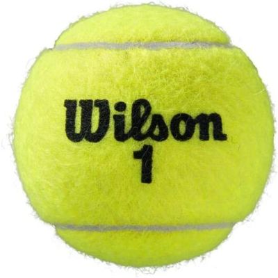 10. Wilson All Court Tennisbälle Roland Garros 3 Stück ITF