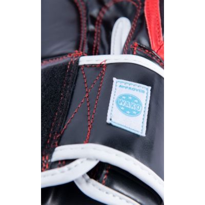 9. RTT-WAKO Boxhandschuhe 10 oz (WAKO GENEHMIGT)