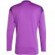 2. adidas Tiro 25 Competition M JI9726 Torwarttrikot