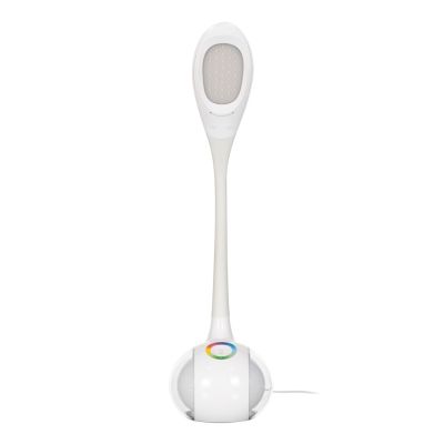 8. AJE-RAINBOW RGB 2 LED-Schreibtischlampe