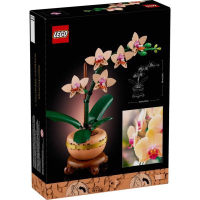 2. LEGO Botanische Kollektion 10343 - Kleine Orchidee