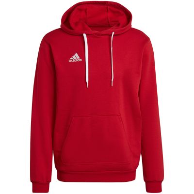 13. Adidas Entrada 22 Hoody M H57514 Sweatshirt