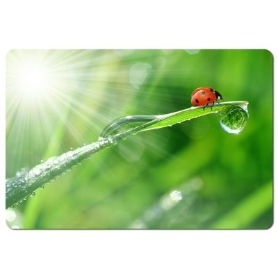 3. Esperanza Photo Mix Mauspad EA133