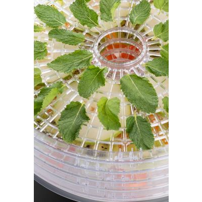 9. ETA Secca Plus Obsttrockner – 830190000