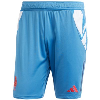 8. Adidas France Gym Herrenshorts Blau JC7182