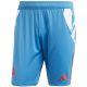 8. Adidas France Gym Herrenshorts Blau JC7182