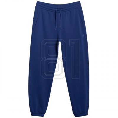 Trousers 4F Cas M1139 M 4FWMM00TTROM1139 031S