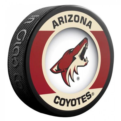 68. Souvenir Inglasco NHL Retro-Hockeypuck 510AN000555