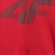 4. Sweatshirt 4F M 4FWMM00TSWSM1766 062S