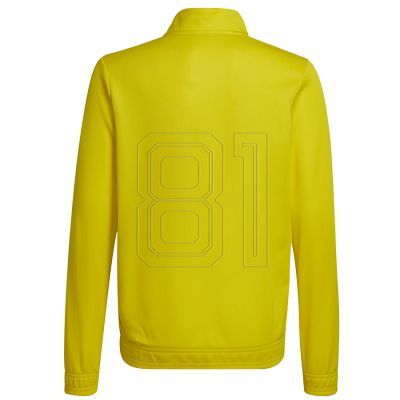 7. Adidas Entrada 22 Track Jr Sweatshirt HI2139