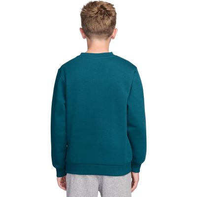 2. Nike Sportswear Club Fleece Kinder-Sweatshirt Grün FD3006 372