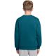 2. Nike Sportswear Club Fleece Kinder-Sweatshirt Grün FD3006 372