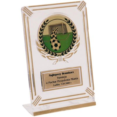 7. Trophäe aus transparentem, goldfarbenem Kunststoff mit Platz für einen 50-mm-Aufkleber und eine 50 mm x 20 mm große TM-Plakette.