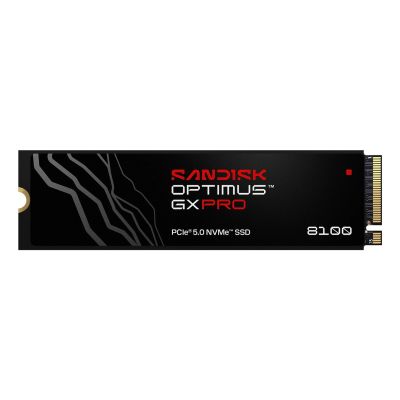 3. SSD Sandisk Optimus GX Pro 8100 2 TB SDSP82200TAN