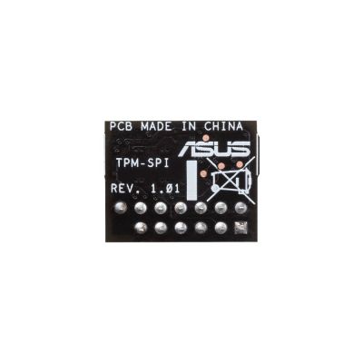 2. ASUS TPM SPI-Modul 90MC07D0-M0XBN1
