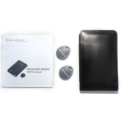 4. Silverstone TS01B Schwarz 2,5"