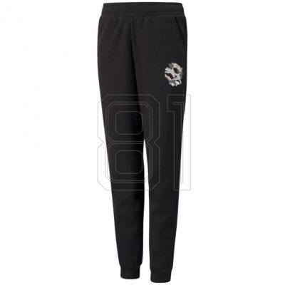 3. Puma Alpha Jogginghose FL Jr 589235 01
