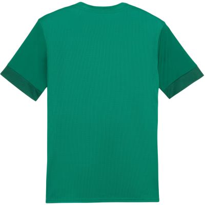 4. Puma teamGoal Spieltagstrikot M 705747 05