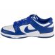 2. Nike Dunk Low Retro M DV0833-103 Schuhe