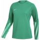 Nike Dri-Fit Park V Stadion Damen-Trikot Grün HV8316 324