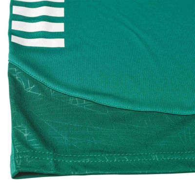 SPANIEN v25 grüne Fußballshorts