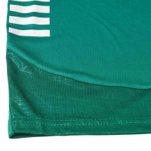 SPANIEN v25 grüne Fußballshorts