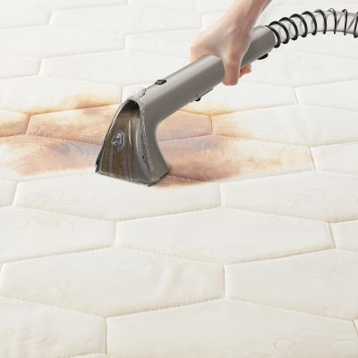 17. UWANT Y200S Waschsauger mit Dampffunktion - grau