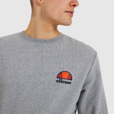 4. Ellesse Diveria M Sweatshirt SHS02215-112