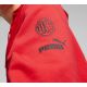 4. Puma AC Mailand FtbCore Graphic Hoody M 772316-01