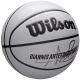 2. Wilson NBA Player Icon UV Bskt Giannis Basketball WZ4030901XB