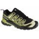 5. Salomon XA Pro 3D v9 GTX M L47741900 Laufschuhe