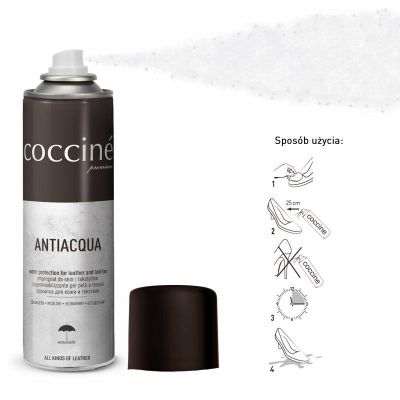 10. Coccine Lederimprägnierspray DA0265