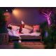 7. Philips Hue Weiß- und Farbambiente Lily Außenstrahler