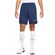 7. Nike Dri-Fit Academy 25 M Shorts FZ9776 410