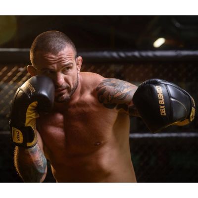 5. 10oz Boxhandschuhe - Hammer Gold - Legacy Series