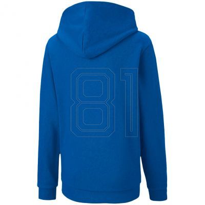 2. Puma teamGOAL 23 Casuals Hoody Jr 656711 02 Sweatshirt