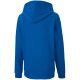 2. Puma teamGOAL 23 Casuals Hoody Jr 656711 02 Sweatshirt