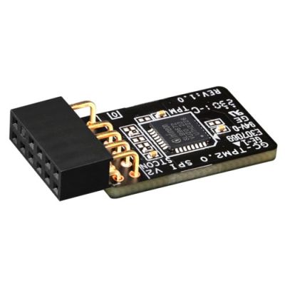 2. TPM 2.0 Modul GIGABYTE GC-TPM 2.0 SPI V2
