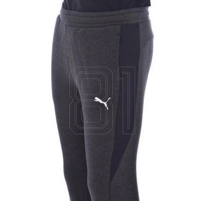9. Puma Jr. Hose 580732 04